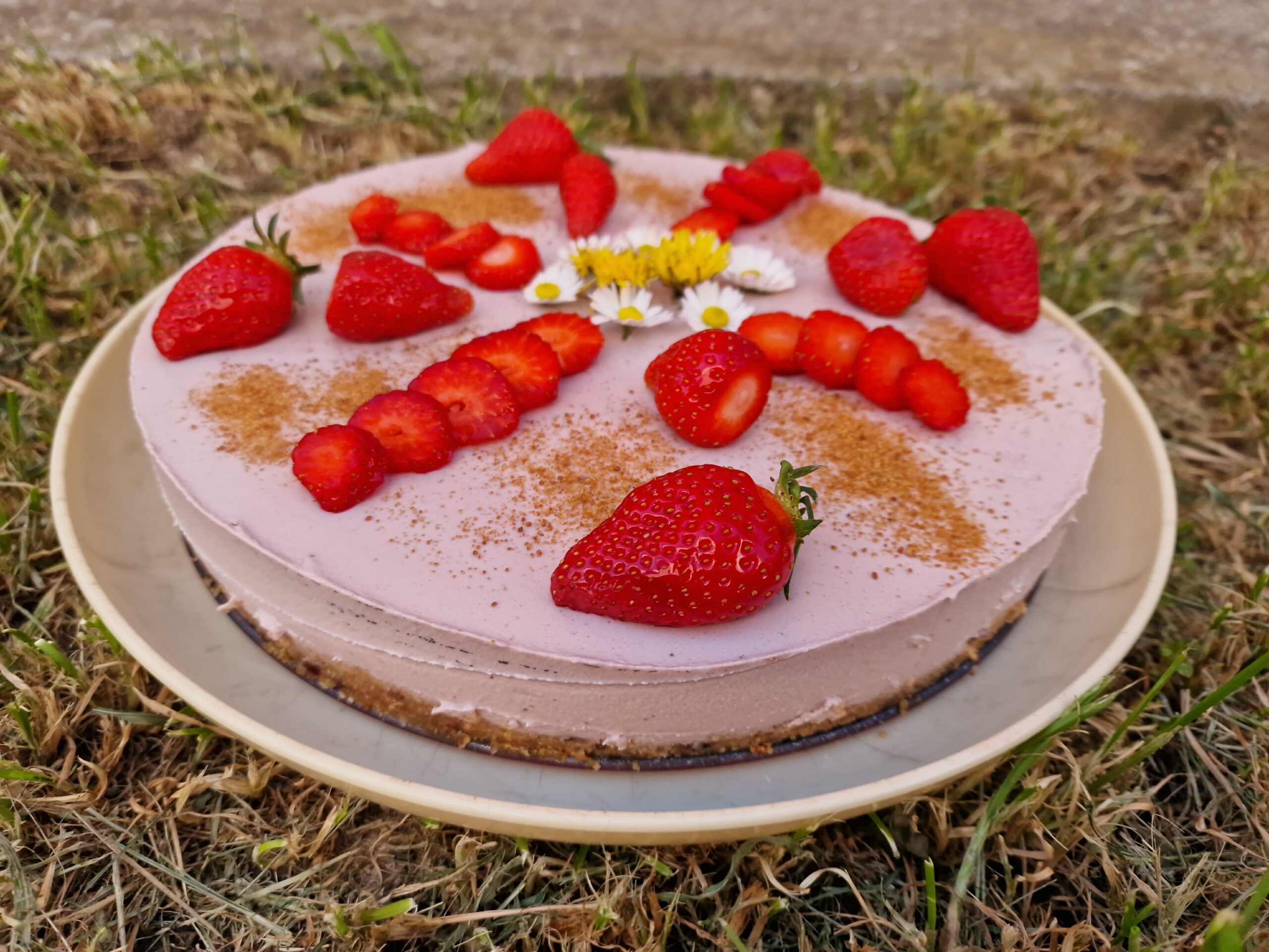 Vegan Raw Strawberry Cheesecake โ Spring Rhapsody ๐ธ๐ or